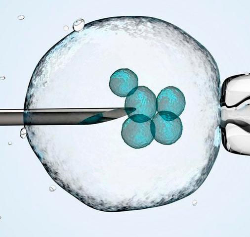 IVF with Oocyte Donation IVF with Oocyte Donation